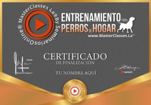 CERTIFICADO
