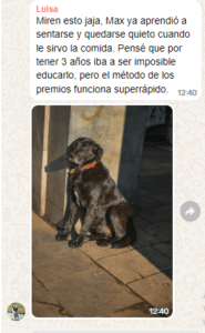 chat 1.