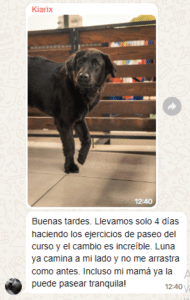 chat 2