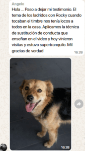 chat 3